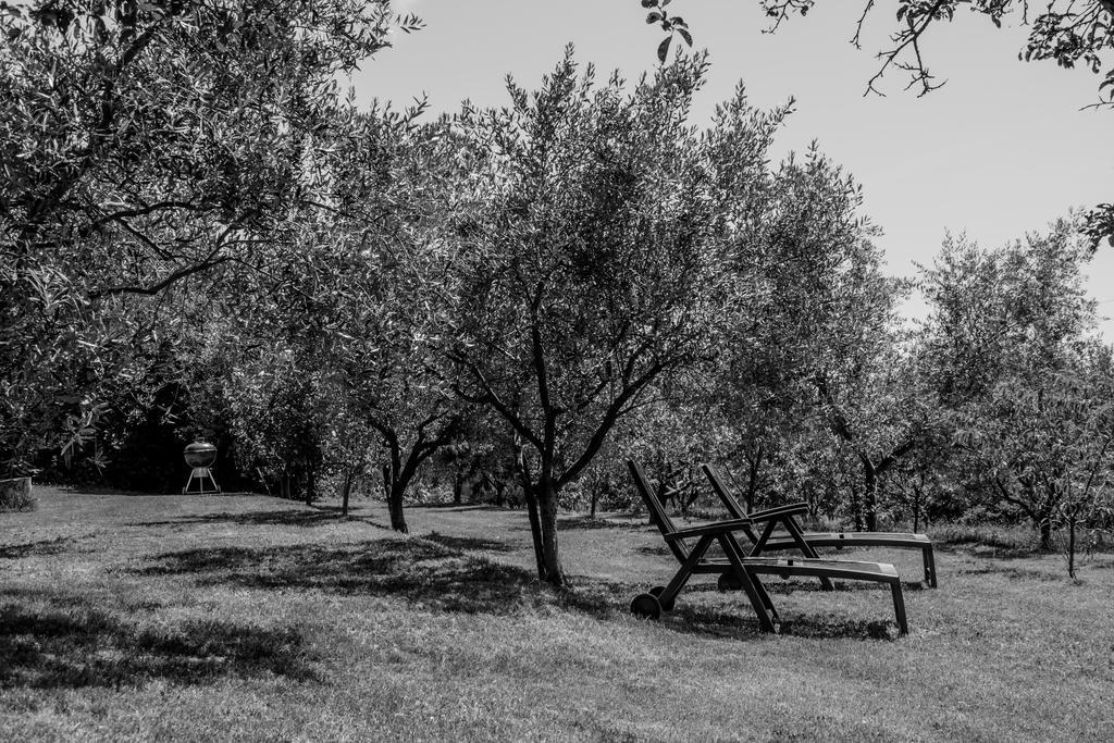 Terra Del Carso Villa San Pelagio Exteriör bild