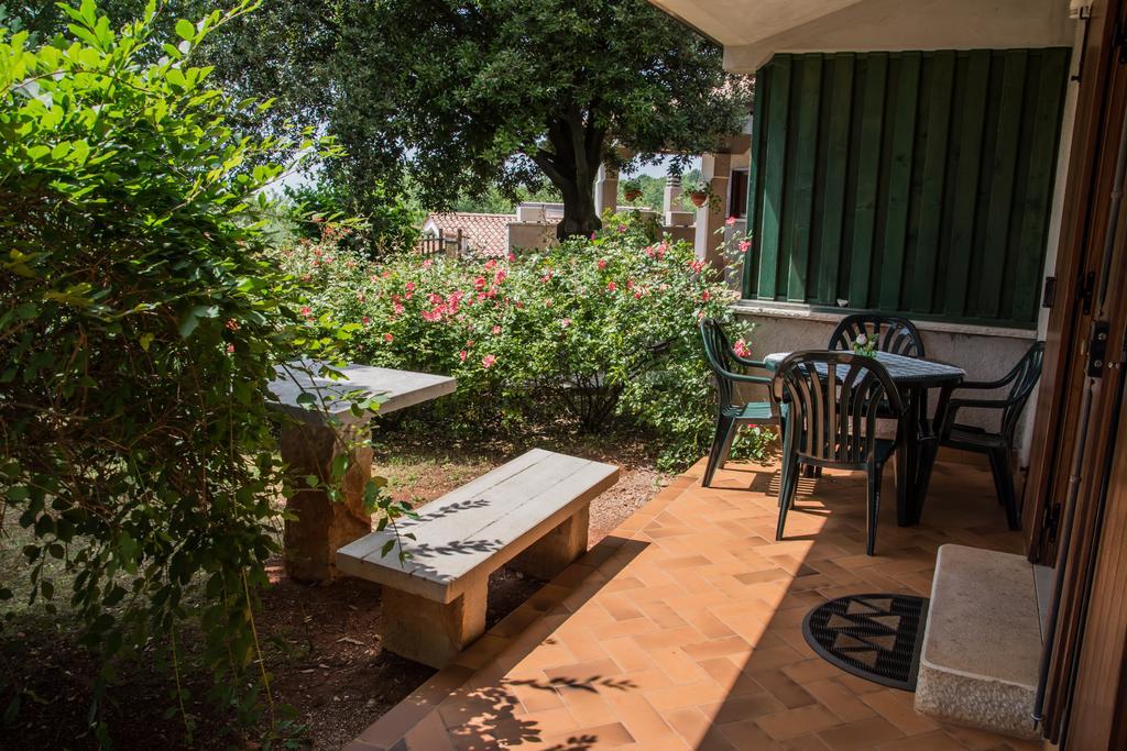Terra Del Carso Villa San Pelagio Exteriör bild