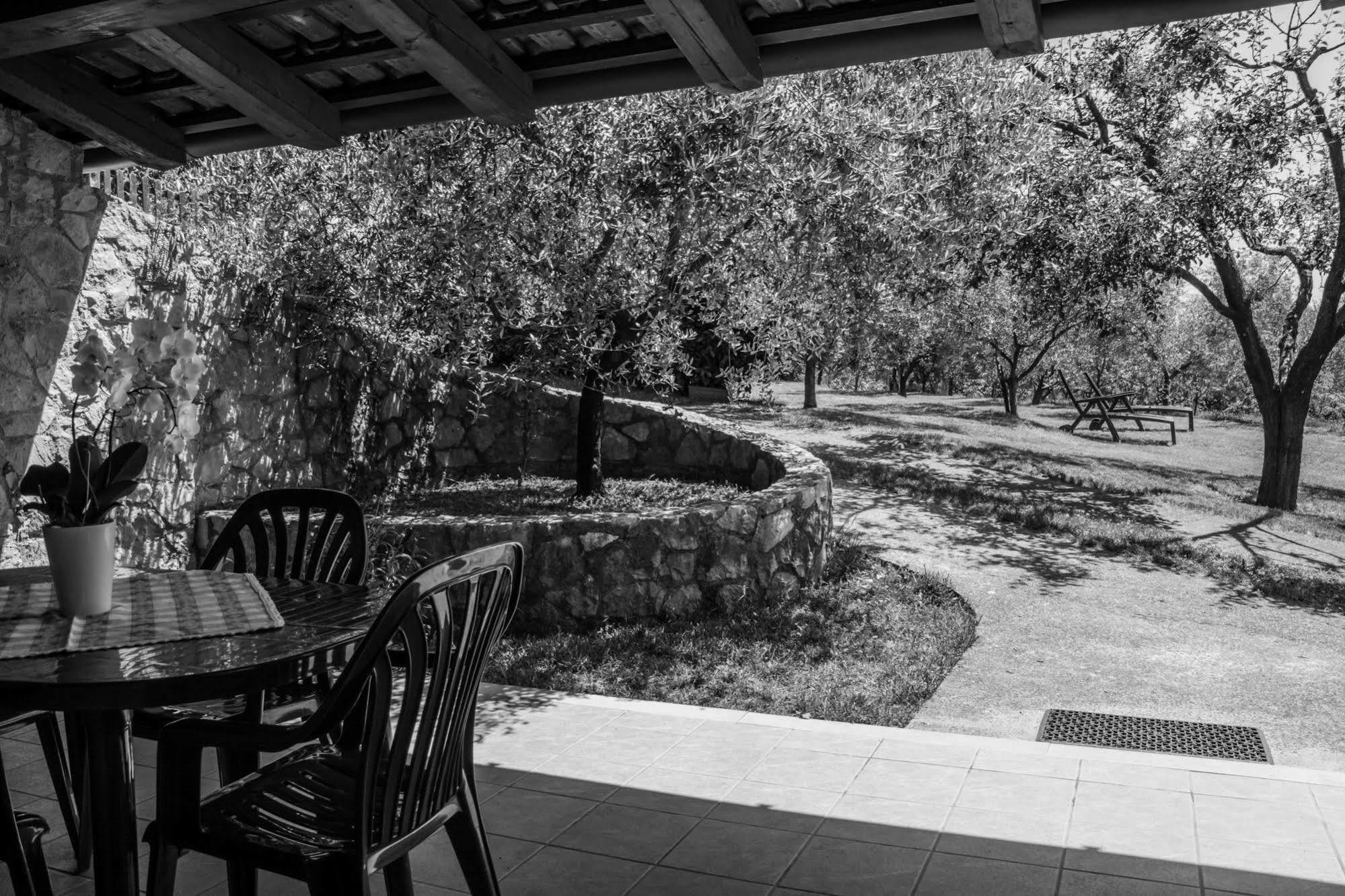 Terra Del Carso Villa San Pelagio Exteriör bild