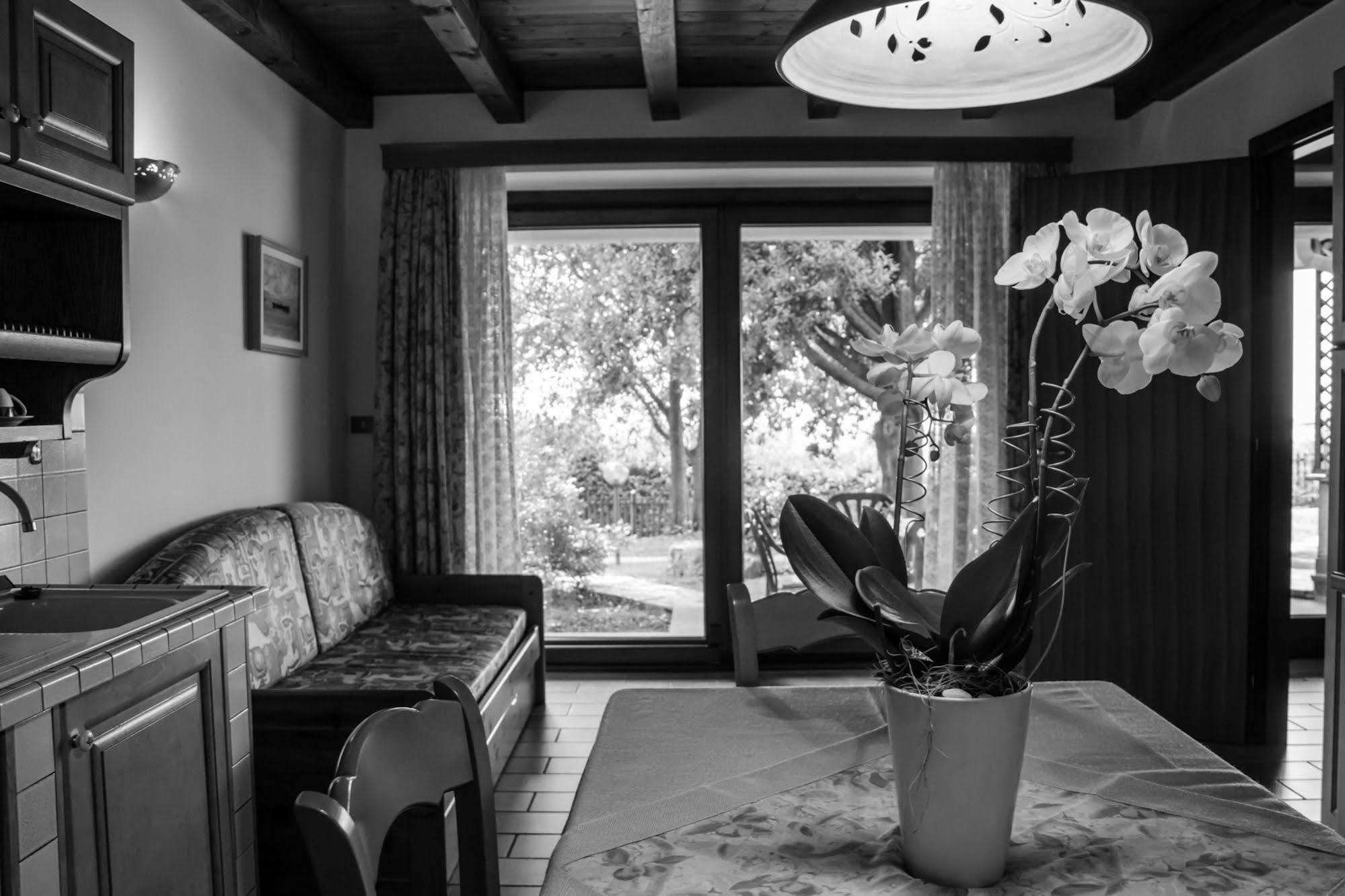 Terra Del Carso Villa San Pelagio Exteriör bild